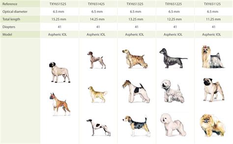 Tabla comparativa de razas de perros según necesidades de cuidado
