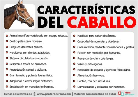 Esquema de los movimientos tridimensionales del caballo y su impacto en la postura del jinete.