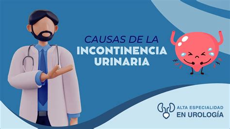 Gráfico de las causas comunes de incontinencia urinaria y retención urinaria