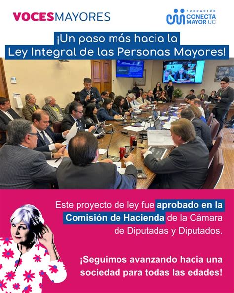 Esquema de los pilares de la Ley Integral de las Personas Mayores en Chile