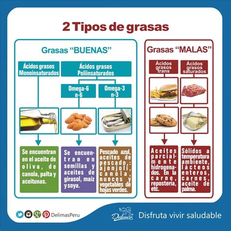 Infografía sobre los tipos de grasas saludables y sus fuentes