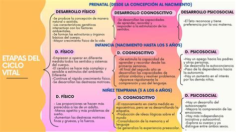 Esquema de las etapas del ciclo vital y los tipos de crisis