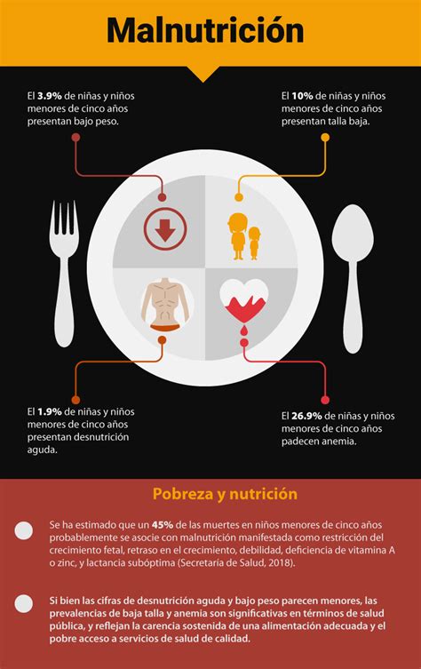 Infografía sobre los riesgos de la malnutrición en la tercera edad