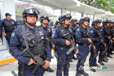 Diagrama que muestra los siete programas ministeriales que componen el plan de apoyo.