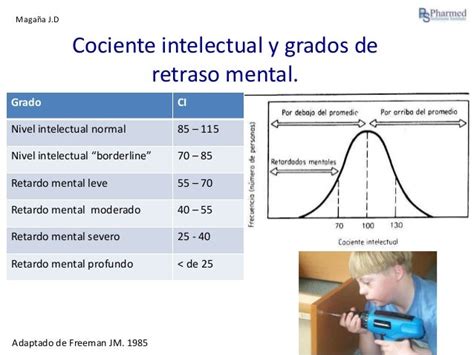 Gráfico estadístico sobre la prevalencia de discapacidad intelectual por grados de severidad