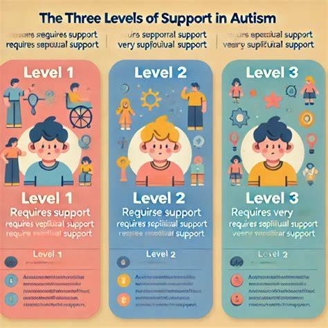 Infografía de niveles de apoyo y áreas de habilidades