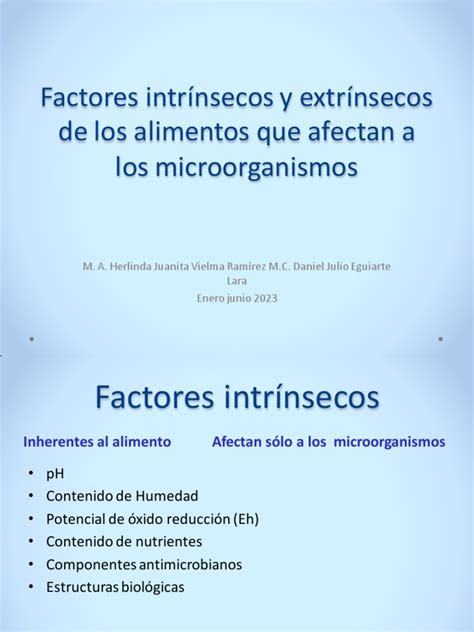 Esquema de los factores intrínsecos y extrínsecos que aumentan el riesgo de infección en personas mayores