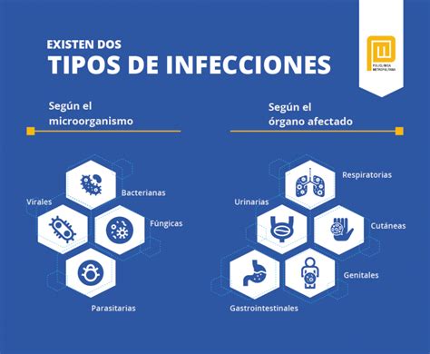 Infografía mostrando la prevalencia de distintos tipos de infecciones en la población geriátrica