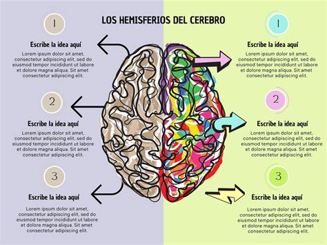 Esquema del cerebro humano destacando las áreas visuales y su función en el procesamiento de la información.