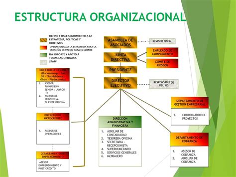Un diagrama de la estructura organizacional de SENAMA, destacando la posición del coordinador regional
