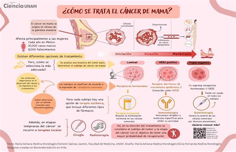 Infografía: Cáncer como enfermedad crónica y su impacto en la familia