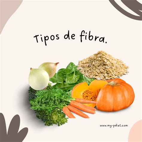 Diagrama de los diferentes tipos de fibra dietética y sus funciones en el cuerpo