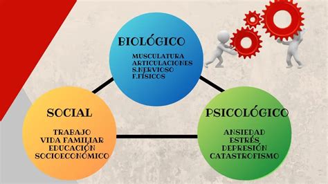 Esquema de atención integral: dimensiones biológicas, psicológicas y sociales en el cuidado de la demencia.