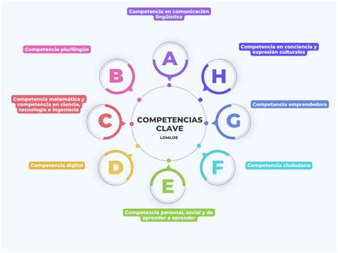 Esquema sobre las competencias clave del cuidador: habilidades técnicas, gestión emocional y planificación asistencial.