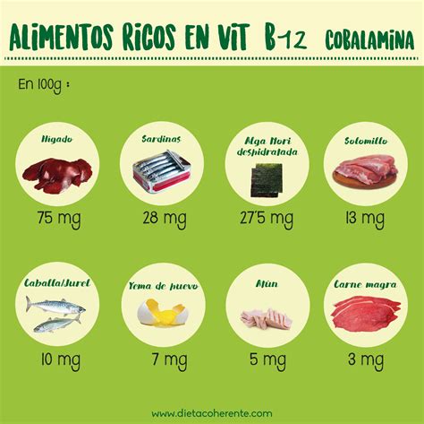 Ilustración de alimentos ricos en hierro y vitamina B12
