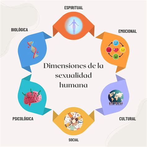 Esquema de las dimensiones de la sexualidad humana