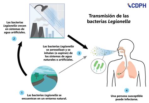 Diagrama mostrando la transmisión de Legionella a través de aerosoles en un jacuzzi