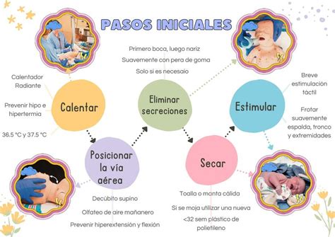 infografía detallando los pasos iniciales del proceso de solicitud de pensión de invalidez