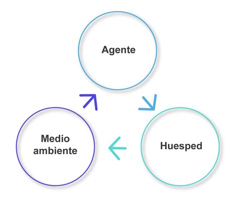 Esquema infográfico que resuma la relación causal entre el agente de riesgo, la actividad laboral y la aparición de la enfermedad profesional.