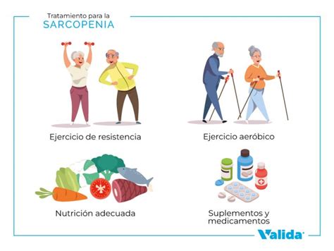 Infografía: Prevención y manejo de la sarcopenia en la tercera edad