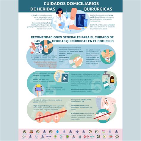 Infografía o esquema sobre los servicios multidisciplinarios ofrecidos en cuidados domiciliarios
