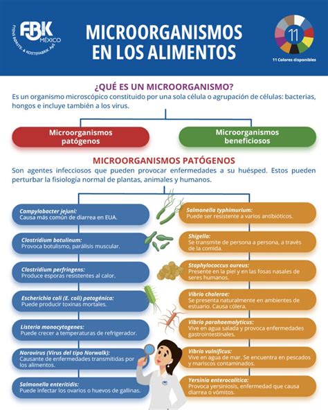 Infografía: Patógenos bacterianos comunes en alimentos y sus fuentes