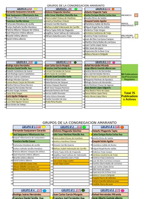 Esquema organizativo de una congregación local: ancianos, siervos ministeriales y publicadores