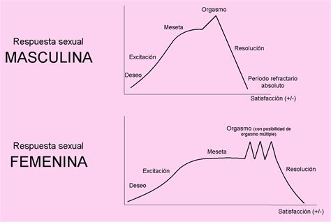 Esquema sobre la evolución de la respuesta sexual en la edad madura y los factores que influyen en ella.
