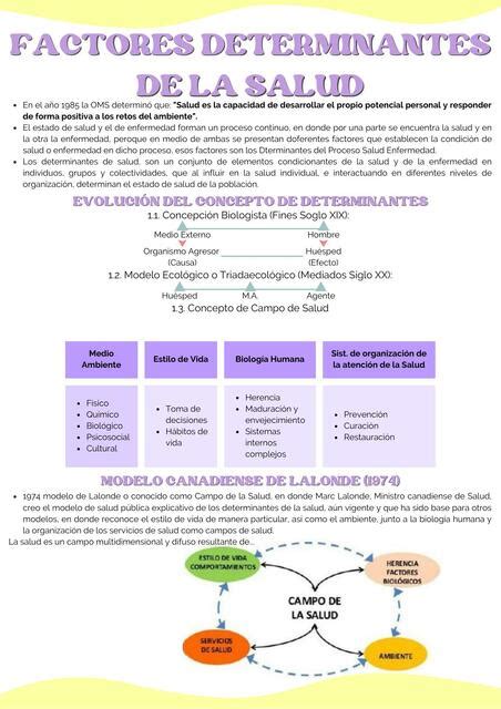 Esquema que ilustra los factores determinantes de la sobrecarga del cuidador: nivel de dependencia del paciente, falta de redes de apoyo, género y tiempo de dedicación.
