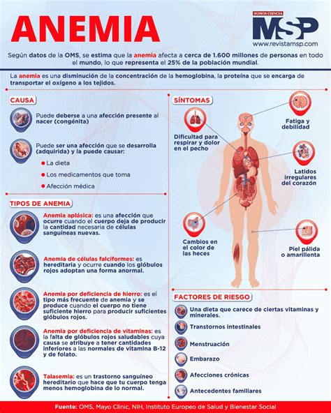 Infografía: qué es la anemia y umbrales diagnósticos OMS en adultos mayores