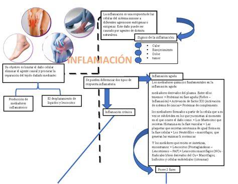 Esquema: pérdidas ocultas, ERC e inflamación como disparadores de síntomas