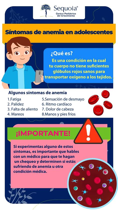 Mapa de decisión: qué hacer ante síntomas de anemia en casa y en consulta