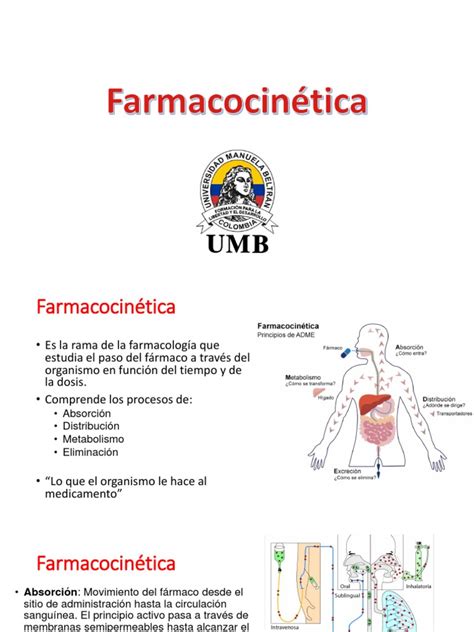 Diagrama de los cambios farmacocinéticos (absorción, distribución, metabolismo, excreción) en adultos mayores comparado con adultos jóvenes