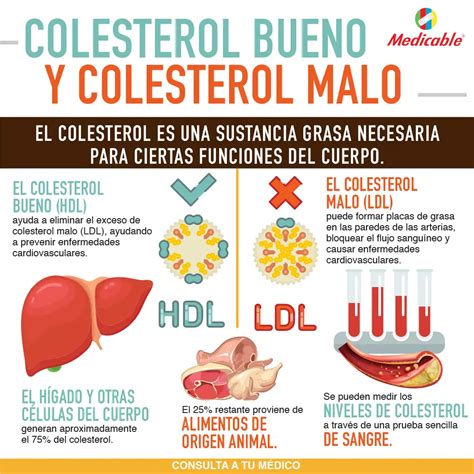 infografía sobre el colesterol bueno y malo