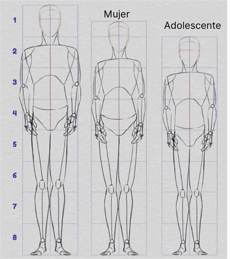 Proporciones cuerpo adulto: hombre y mujer