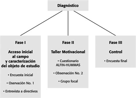 Esquema de las fases del diagnóstico social