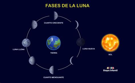 infografía sobre las diferentes fases del envejecimiento y sus necesidades, incluyendo envejecimiento activo, fragilidad y dependencia