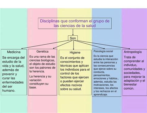 Esquema conceptual de la interacción entre salud, funcionamiento y contexto