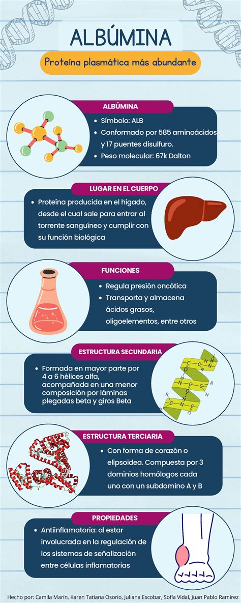 Configuración molecular de la AFP y la albúmina mostrando dominios y puentes disulfuro (basado en Figura 1 del borrador)