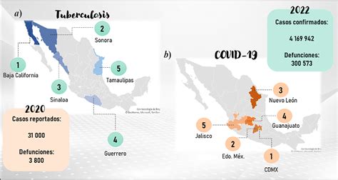 Mapa de distribución geográfica de la incidencia de carcinoma hepatocelular