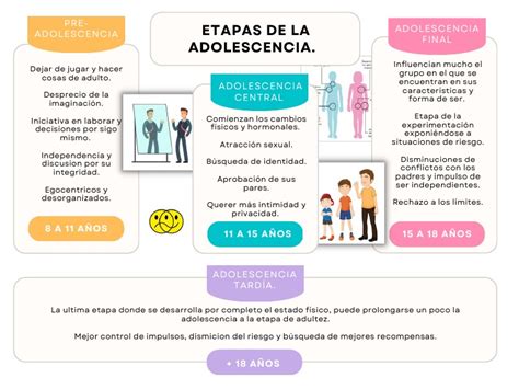 Esquema visual que representa las diferentes etapas de la adolescencia con sus rangos de edad
