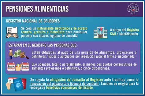 Infografía: funcionamiento del Registro de Deudores de Pensiones de Alimentos