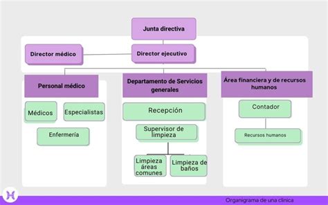 Organigrama de las comisiones médicas y sus funciones