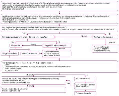 Fig. 3. Algoritmo etiológico para el diagnóstico de retraso mental y DI
