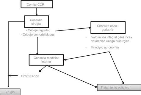 Fig. 4. Flujo de manejo multidisciplinar en RPM/DI