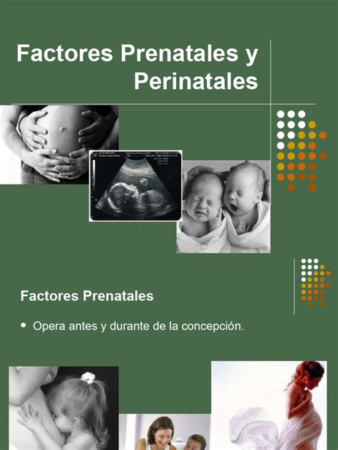 Ilustración representando los factores prenatales, perinatales y postnatales que pueden influir en el desarrollo neurológico.