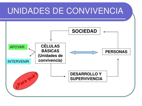 Infografía sobre el programa Unidades de Convivencia Colectiva (UDC) y su integración en 