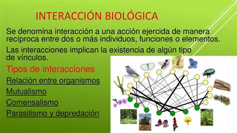 Esquema sobre la interacción entre el entrenamiento circense y las necesidades biológicas de los animales silvestres.