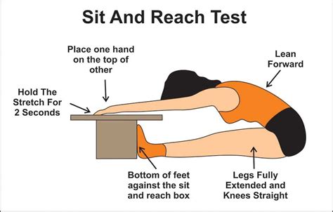 Ilustración del Chair-Sit and Reach Test