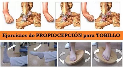 ejercicios de propiocepción para tobillo